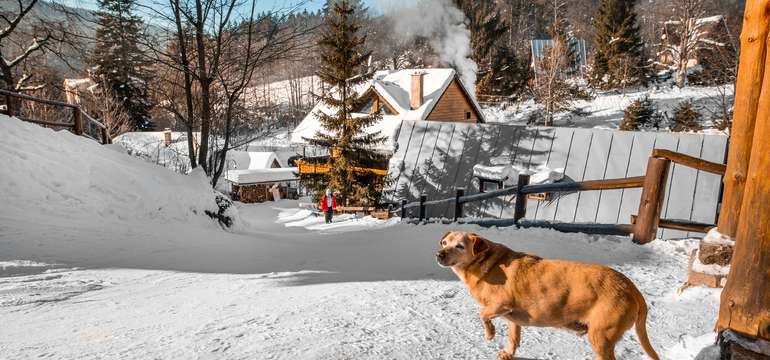 Chata Alpina má výbornú polohu priamo pod lyžiarskymi svahmi