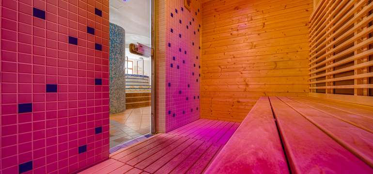 Wellness Hotel Patince****, sauna