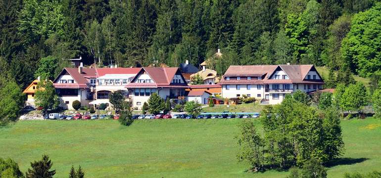Hotel Podlesí je zasazen v překrásné krajině Žďárských vrchů