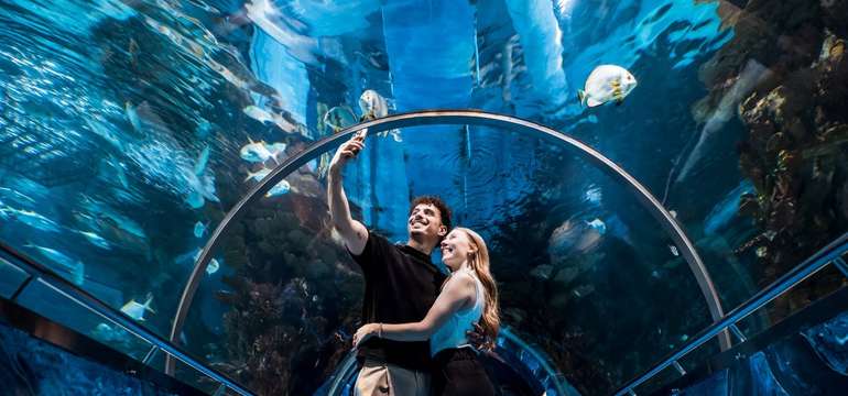 Výlet do ZOO Budapešť a Tropicaria s cestovnou kanceláriou Travelholic