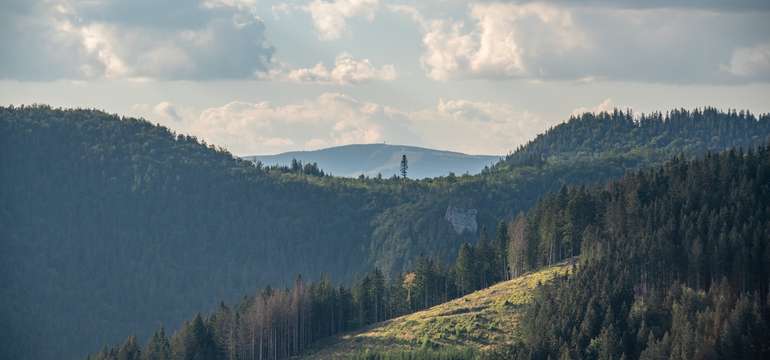 Výhľad z vrcholu Kubínskej hole na zalesnené kopce v lete