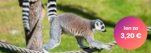 ZOO Spisska Nova Ves Vstupne