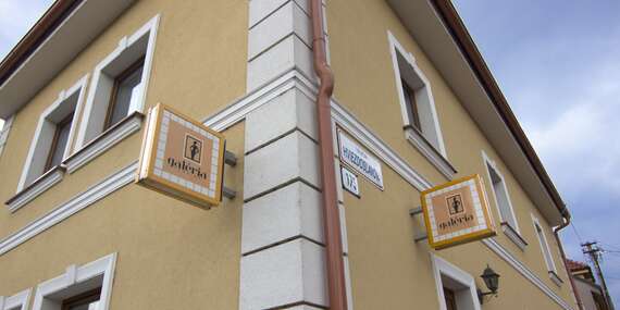 Pobyt v centre Bojníc v Penzióne Galéria so vstupom do vodného sveta/Bojnice