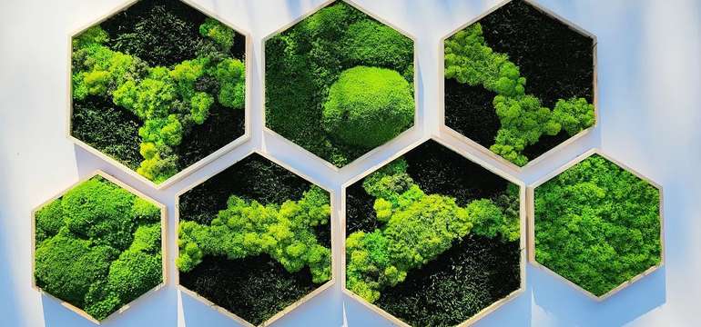 Ručne vyrobené machové dekorácie od Mosswood