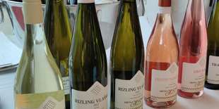 Darčekový poukaz na ochutnávku vín Hrčka&Benian Winery so súkromným degustovaním