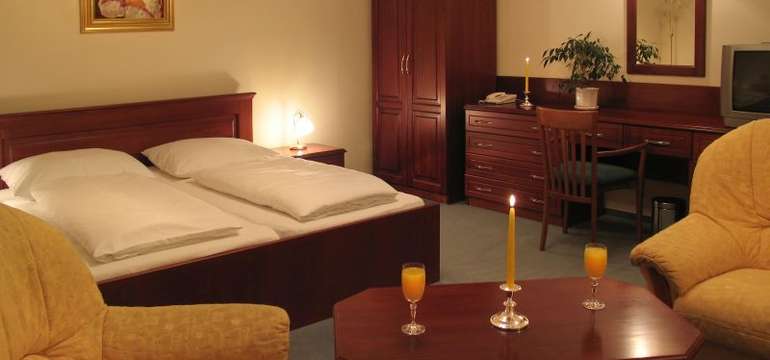 Hotel U Leva