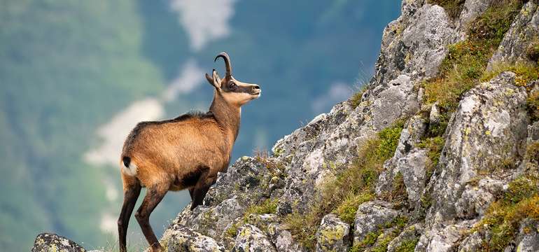 Počas pobytu sa môžete vydať na turistiku po krásach Slovenska
