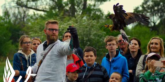 Vstupy do Sokoliarne a minizoo Devín pre deti, dospelých aj rodiny/Bratislava - Devín