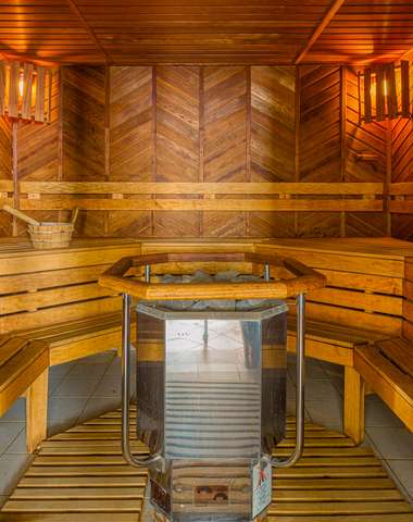 Wellness Hotel Patince****, švédska sauna