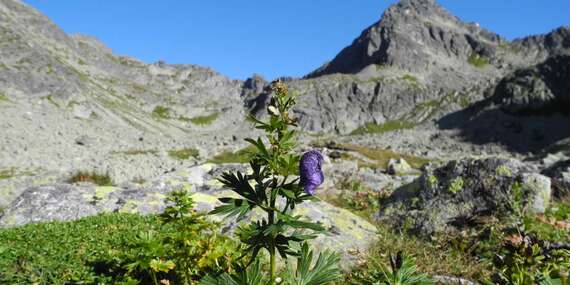 Skupinový výstup na Svišťový štít, Končistú či Furkotský štít vo Vysokých Tatrách s horským sprievodcom/Vysoké Tatry