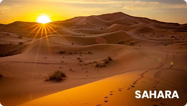 Sahara