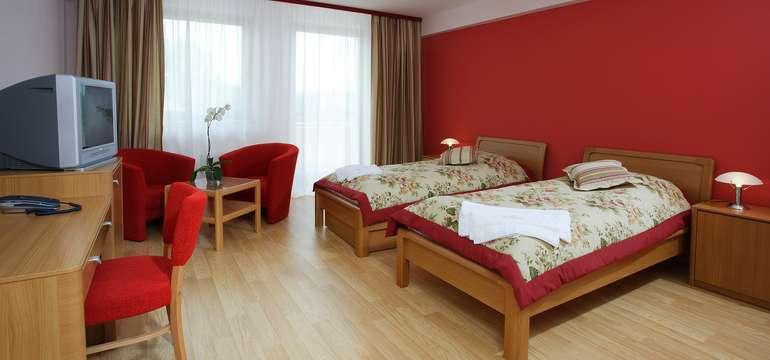 Wellness Hotel Patince****, Izba Standard