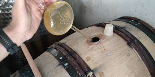 Darčekový poukaz na ochutnávku vín Hrčka&Benian Winery so súkromným degustovaním