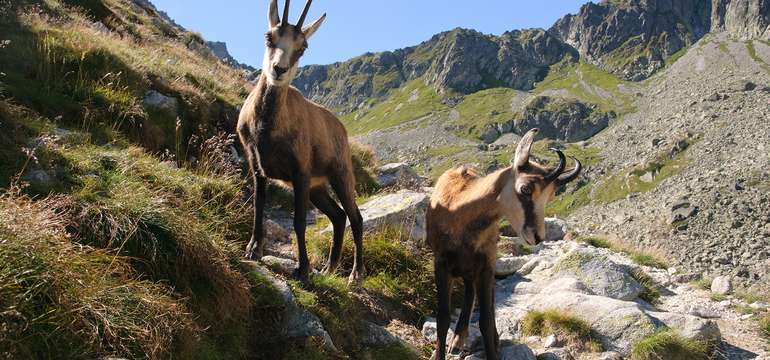 Vysoké Tatry