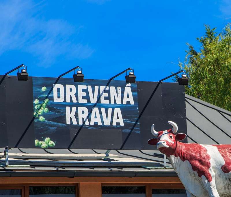Drevená krava, Žilina