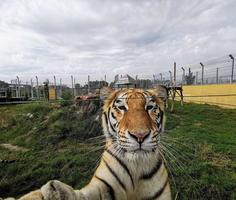 Jedinečný "Safari výlet" na Slovensku v Malkia parku