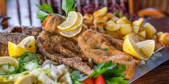 Misa plná rýb v Oáze pri Draždiaku pre 2 až 3 osoby/Bratislava – Petržalka