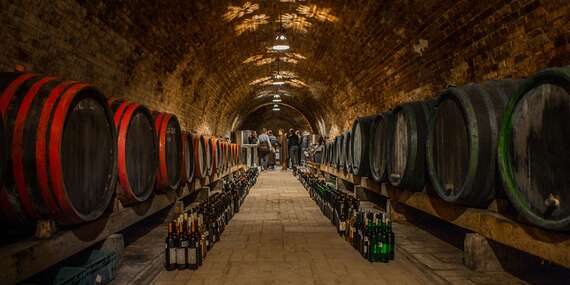 Penzión St. Peter Vini v malebných vinohradoch s ochutnávkou vín a prehliadkou jedinečnej vínnej pivnice/Svätý Peter