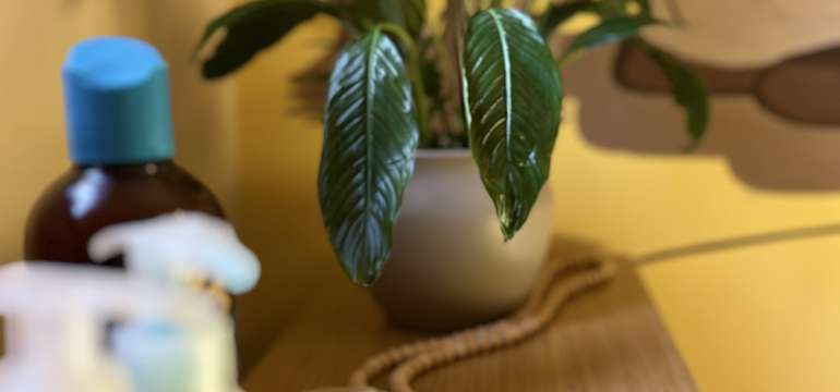 Wellness hotela Bystrina***