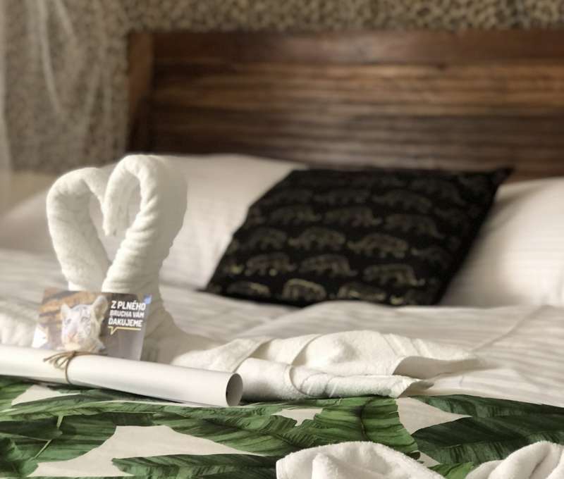 Ubytovanie v dvojlôžkovej izbe, apartmáne Deluxe alebo rodinnom apartmáne Royal