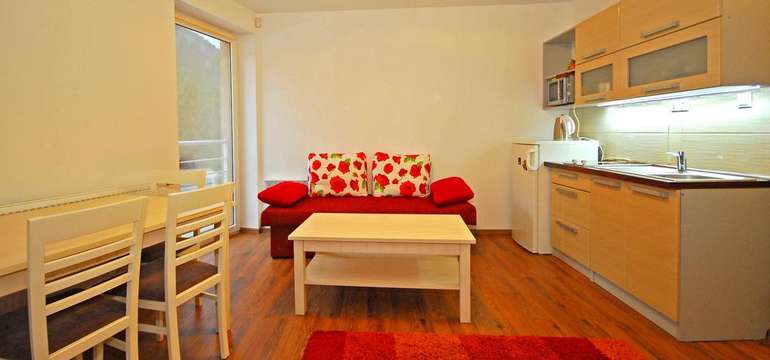 V apartmáne Bartek Ski Rental sa nachádza kuchynka 
