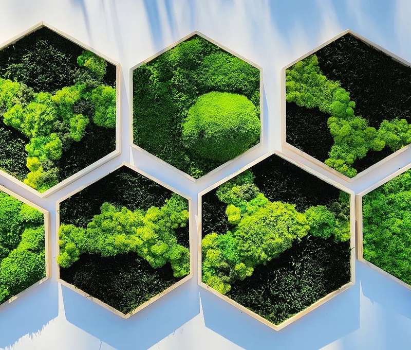 Ručne vyrobené machové dekorácie od Mosswood