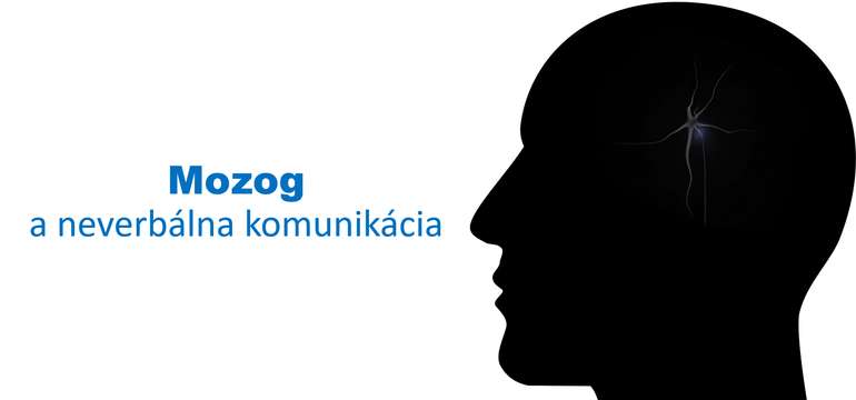Online webinár - Reč tela