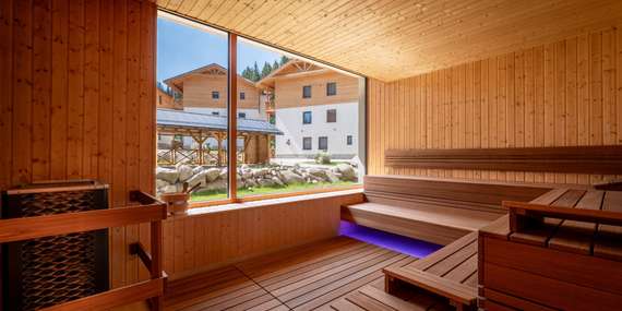 Horský zážitok v srdci Jasnej - komfortné apartmány, wellness a Chopok na dosah/Nízke Tatry - Demänovská Dolina