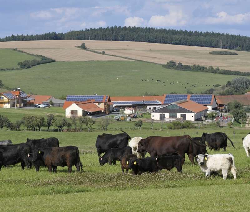 Blízkost přírody je zde zaručena