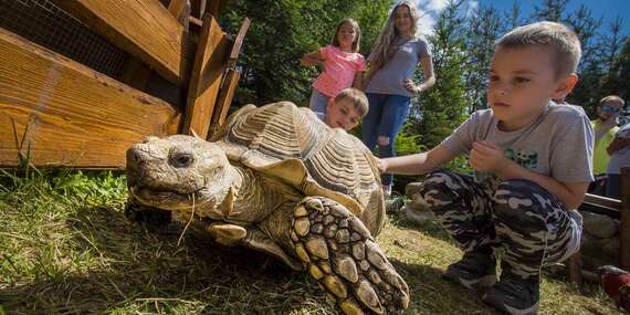Vstup do ZOOKONTAKT family park v Liptovskom Mikuláši (otvorené celoročne)/Liptovský Mikuláš