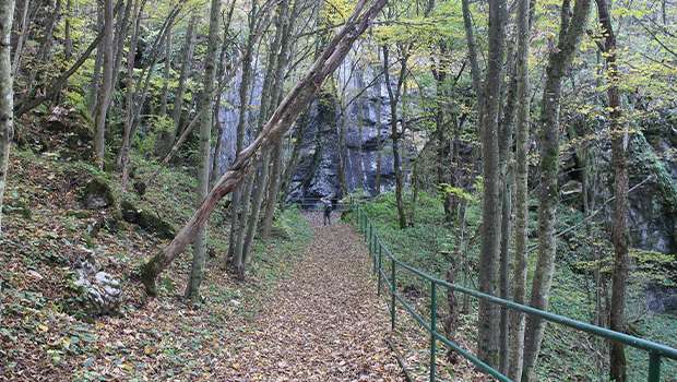 Silická ľadnica
