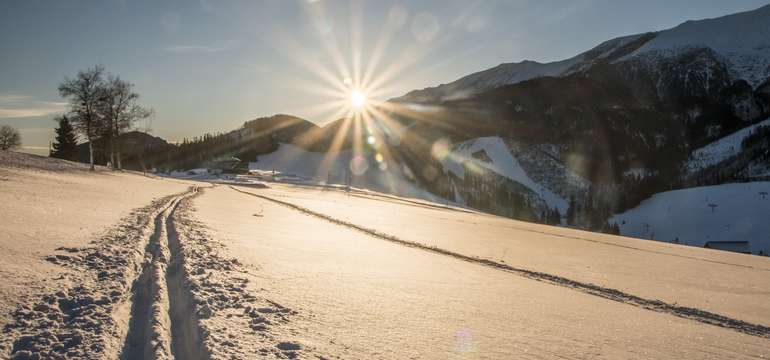 SKICENTRUM STREDNICA - ŽDIAR 