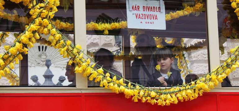 Deň narcisov aj online - získajte virtuálny narcis a prispejte na dobrú vec