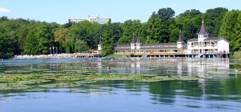 Slávne termálne jazero Hévíz leží iba 1,5 km od wellness penziónu Andrea***