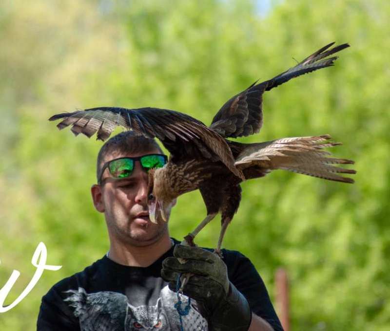 Sokoliareň a minizoo Devín