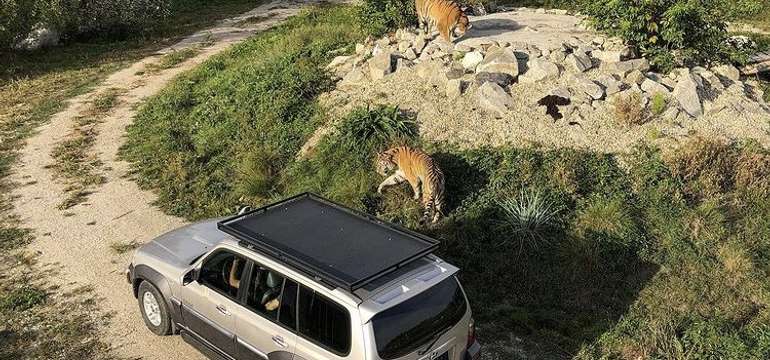 Jedinečný "Safari výlet" na Slovensku v Malkia parku