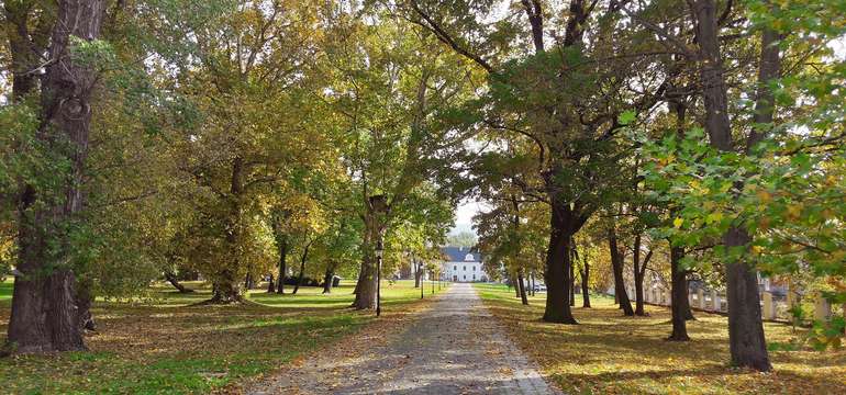 Kaštieľ Château Appony**** obklopuje krásny anglický park