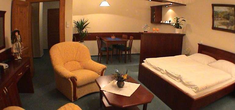 Hotel U Leva