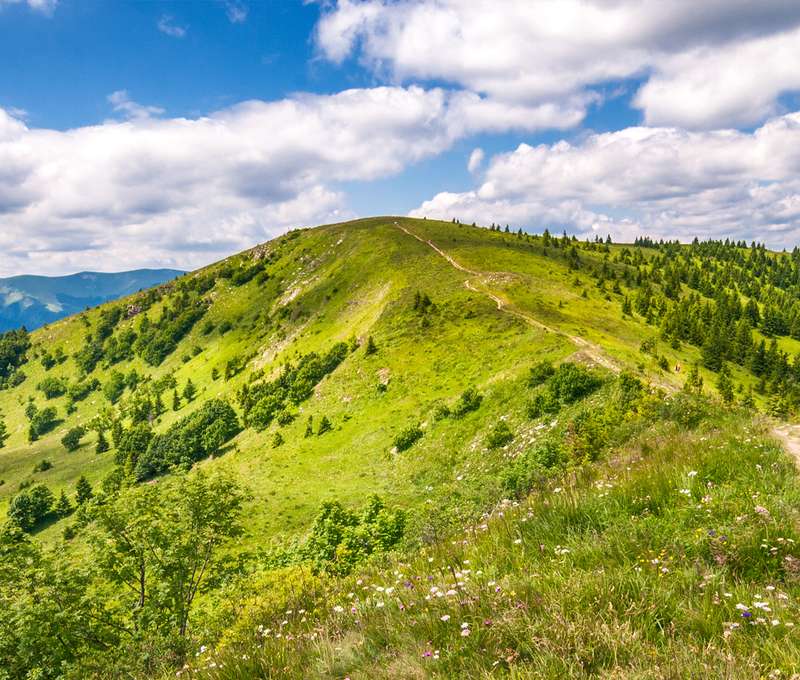 Preskúmajte naše tri národné parky z penziónu Pekáreň