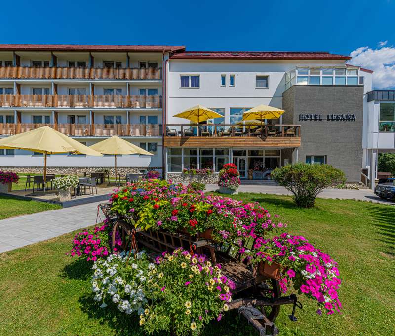 Hotel Lesana**** je obklopený krásne upraveným dvorom