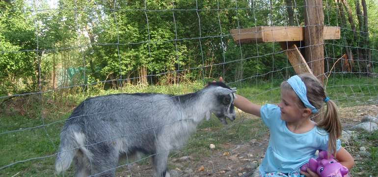 Kontakt so zvieratami v MINI ZOO 