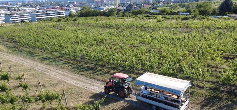 Vínovlečka - zážitková jazda vo vinohradoch s degustáciou vín