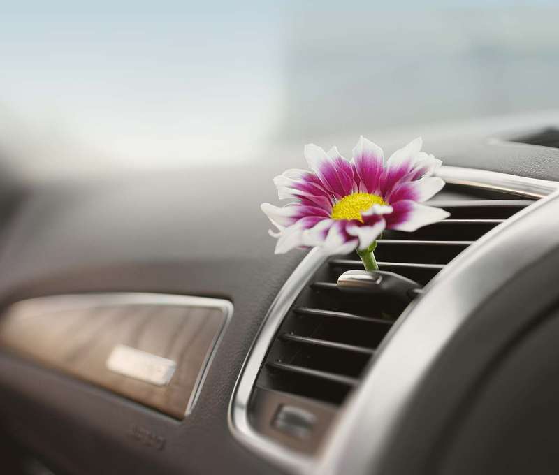 Servis klimatizácie, plnenie chladivom vrátane materiálu + kontrola vozidla zdarma v 365 Car Service