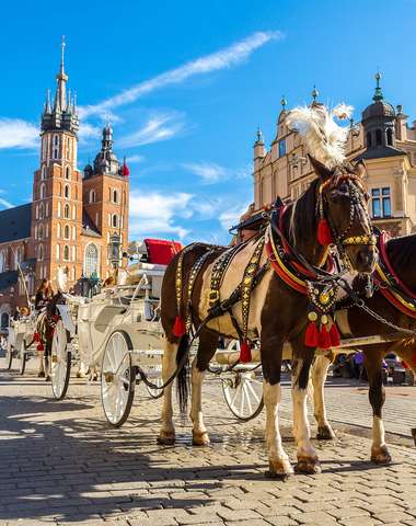 Historické centrum Krakova je za 10 min. ľahko dostupné s MHD