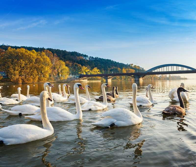 Relaxačný pobyt v Piešťanoch