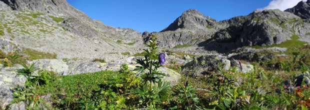 Furkotský štít vo Vysokých Tatrách s horským sprievodcom