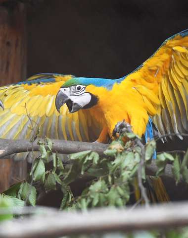 V zoologickej záhrade uvidíte cca 1500 zvierat vrátane unikátov