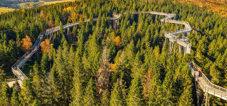Penzión Šilon leží 6 km od Chodníka korunami stromov (otvorený celoročne)