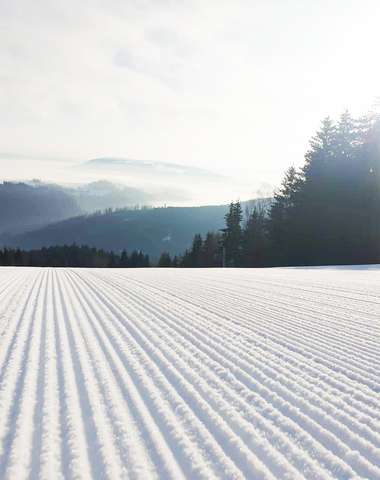 Celodenný skipas do strediska SKI Hlobišov