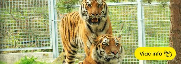 Vstupenky do ZOO v Spišskej Novej Vsi